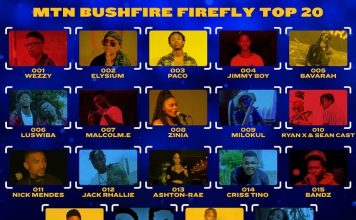 SEE: The Top 20 MTN Bushfire Firefly Finalists