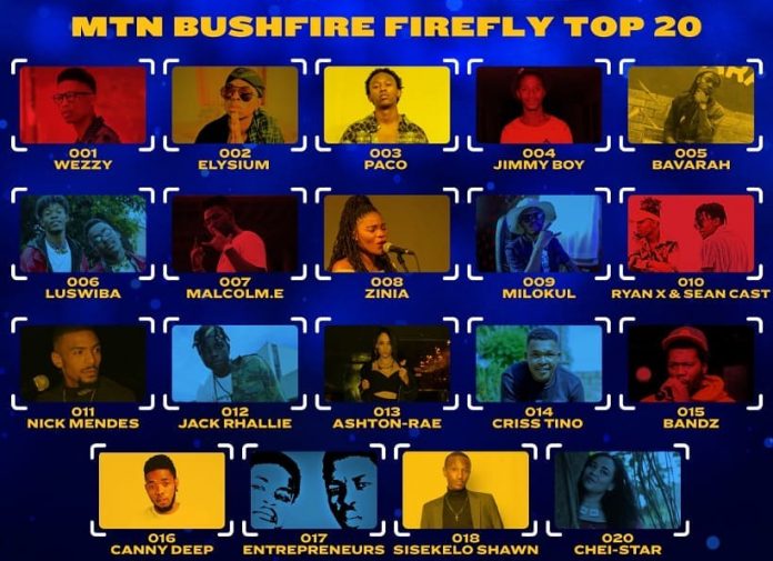 mtnbushfirefirefly-186302524_214153936951874_1241587859357643157_n
