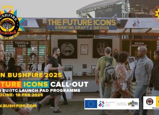 MTN Bushfire 2025: Future Icons Launchpad Returns—A Game-Changer for Eswatini MSMEs!