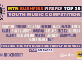 Vote for Your Favourite Artist in MTN Bushfire Firefly!