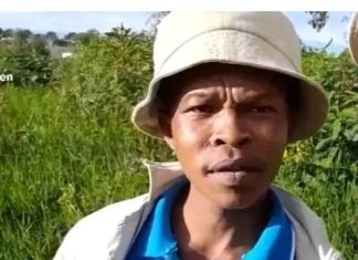 Farewell to a Laughter Icon: Mongi Mdzebele’s Legacy Lives On