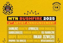 Feel the Heat: MTN Bushfire 2025 Drops First Wave of Artists!