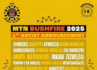Feel the Heat: MTN Bushfire 2025 Drops First Wave of Artists!
