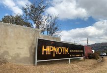 HIPNOTIK 2025: Dreams, Gold & Big Comebacks
